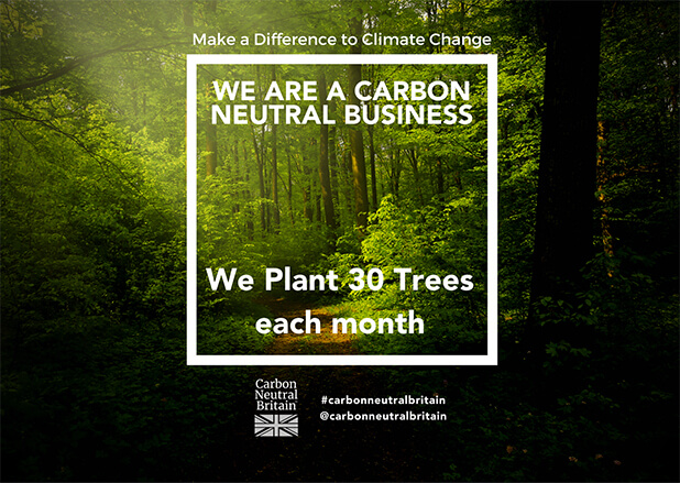 We Plant 30 Trees 1
